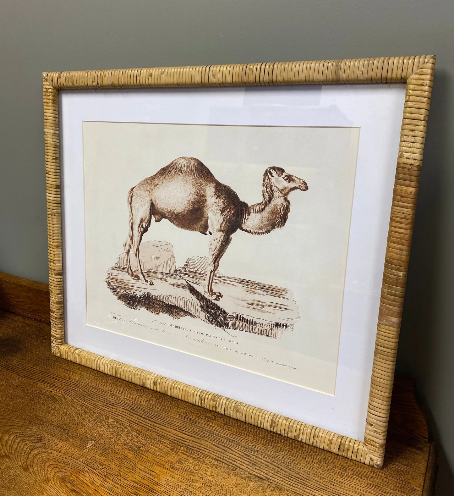 Pair Animal Prints with Wicker Frame