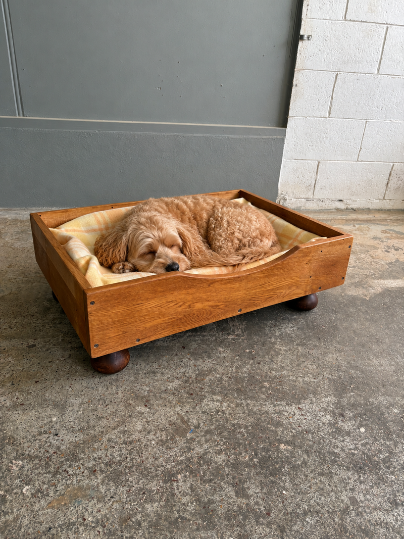 Dog asleep in a handmade reclaimed timber dog bed