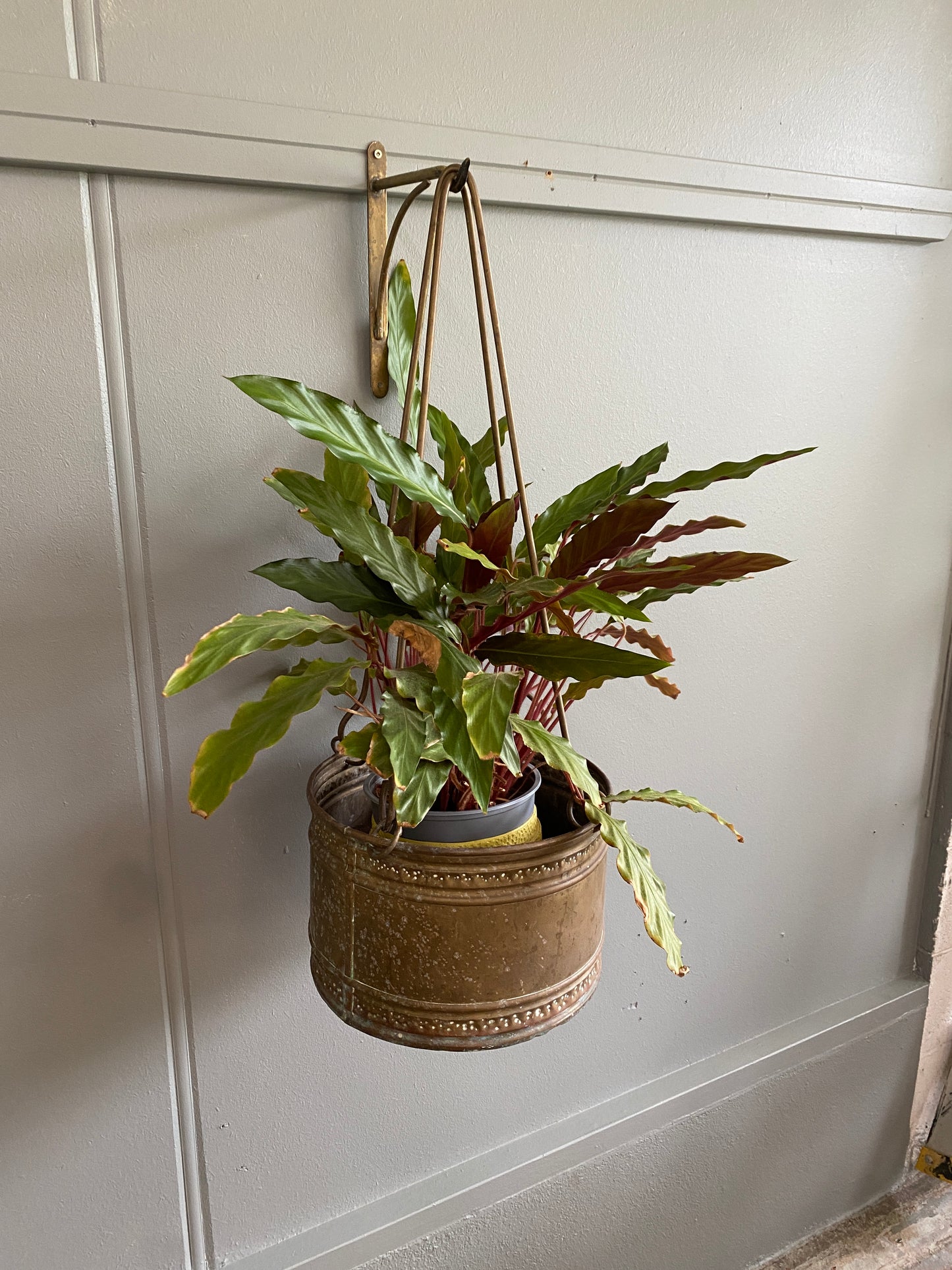 Antique Copper Plant Hanger