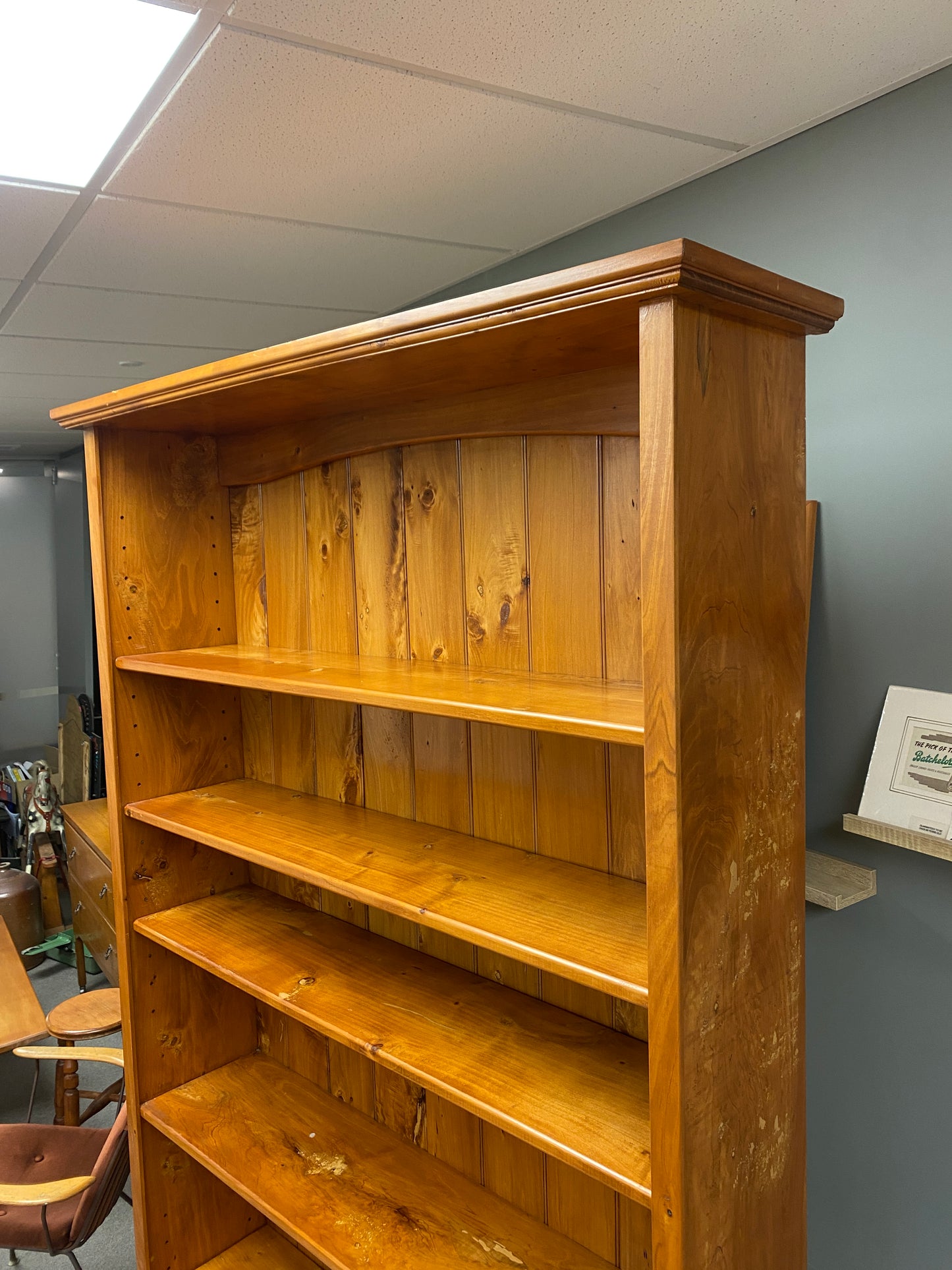 Large Birch & Pine Bookcase