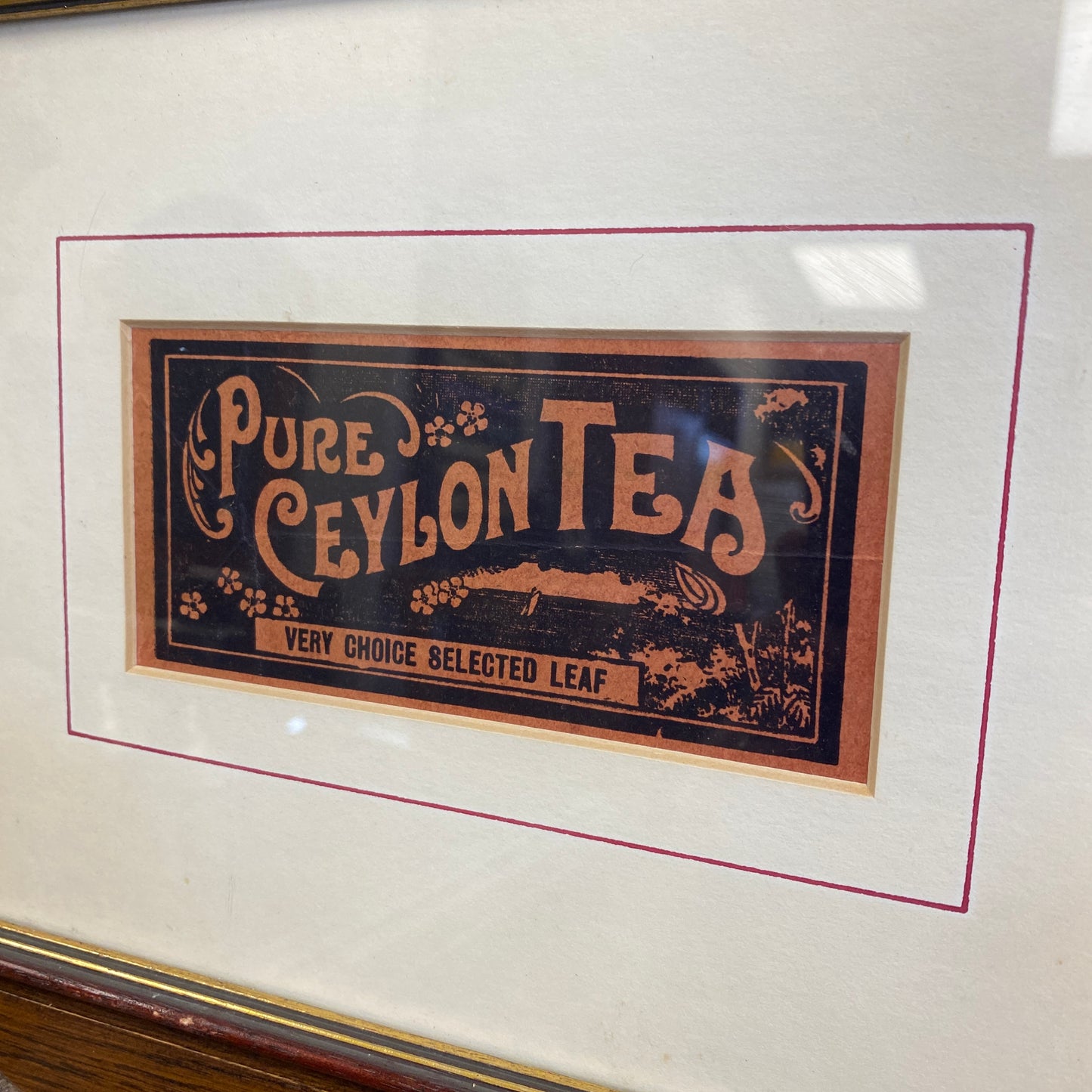 Pure Ceylon Tea Advert